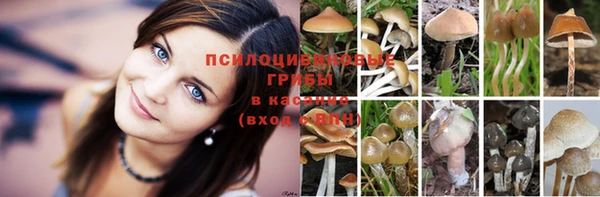 амфетамин Заводоуковск